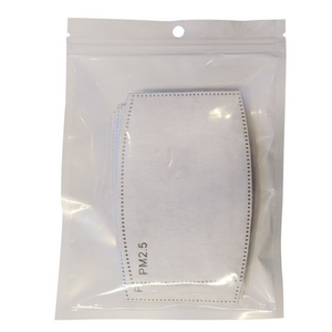 PM2.5 Filters - 10 Pack